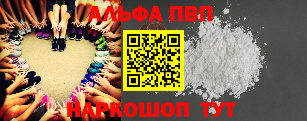А ПВП крисы CK Новокузнецк