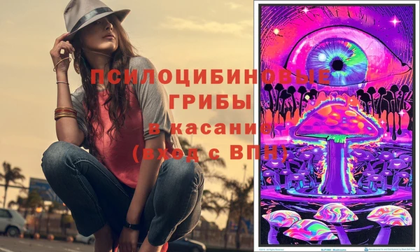 мяу мяу мука Абдулино