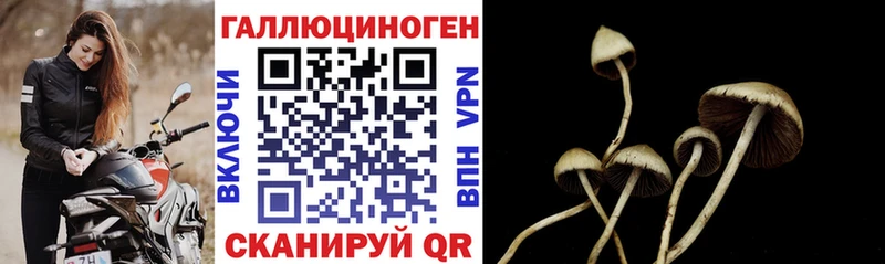 Галлюциногенные грибы прущие грибы  Новокузнецк 
