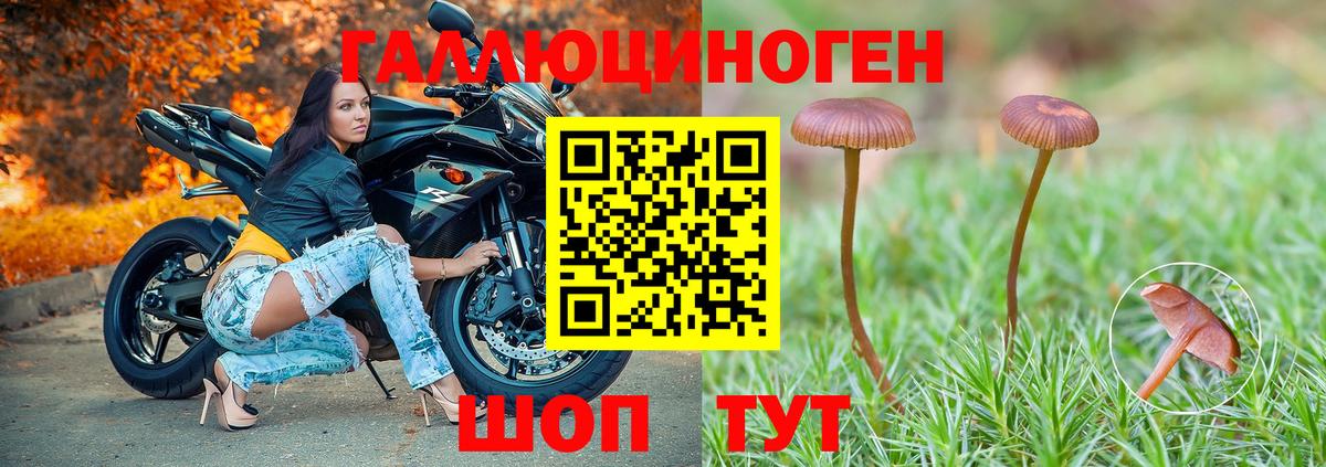 Псилоцибиновые грибы MAGIC MUSHROOMS Новокузнецк