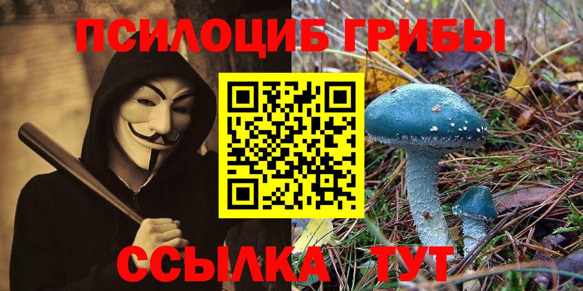 Новокузнецк  Галлюциногенные грибы Psilocybine cubensis  сколько стоит  Псилоцибиновые грибы MAGIC MUSHROOMS  Вход с VPN 