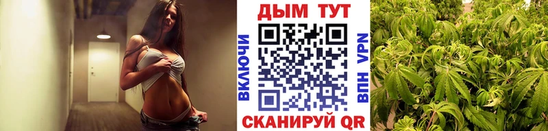 Канабис семена  блэк спрут как войти  Новокузнецк 